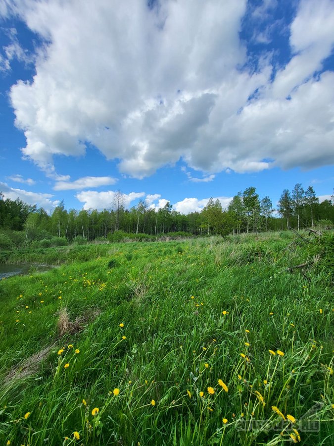 Parduodama išskirtinė sodyba netoli Vilniaus - nuotraukos Nr. 4