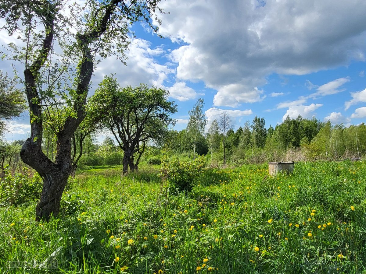 Parduodama išskirtinė sodyba netoli Vilniaus - nuotraukos Nr. 17