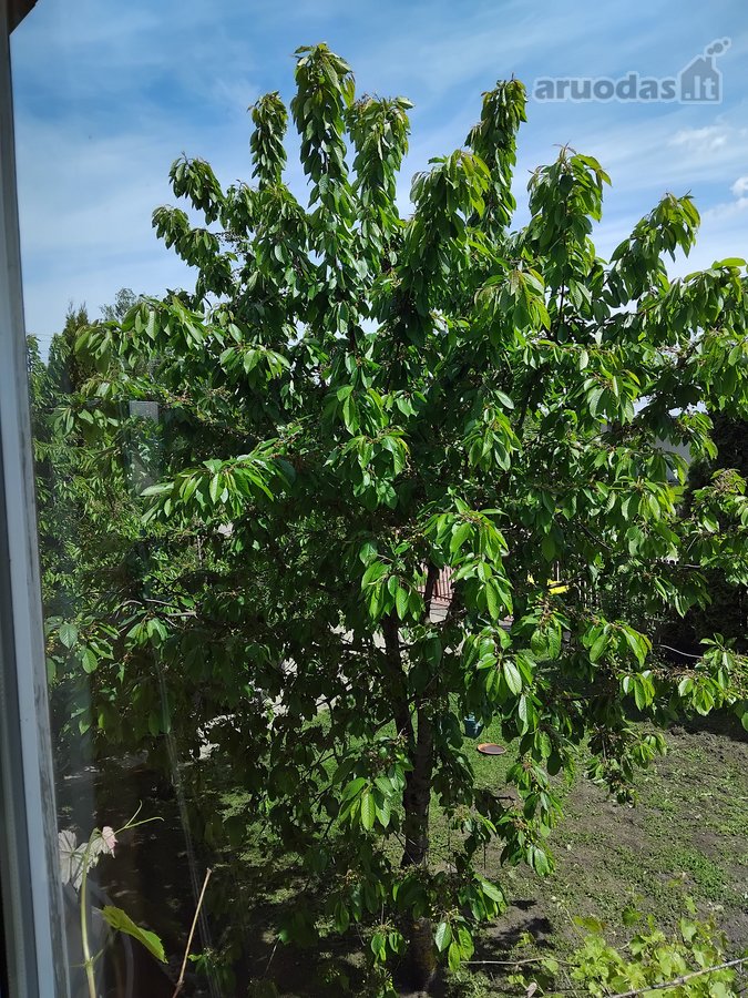 Parduodamas dviejų aukštų medinis / rąstinis - nuotraukos Nr. 31