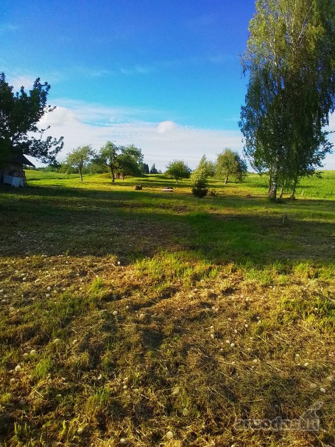 Parduodama jauki sodyba ramioje vietoje, - nuotraukos Nr. 11