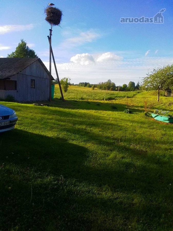 Parduodama jauki sodyba ramioje vietoje, - nuotraukos Nr. 12