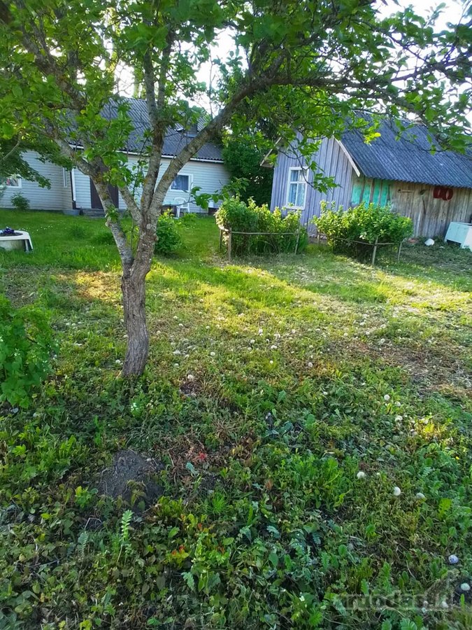 Parduodama jauki sodyba ramioje vietoje, - nuotraukos Nr. 13