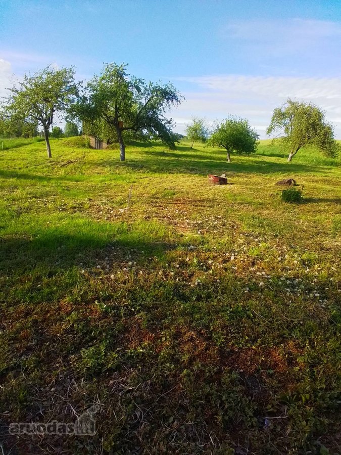 Parduodama jauki sodyba ramioje vietoje, - nuotraukos Nr. 14