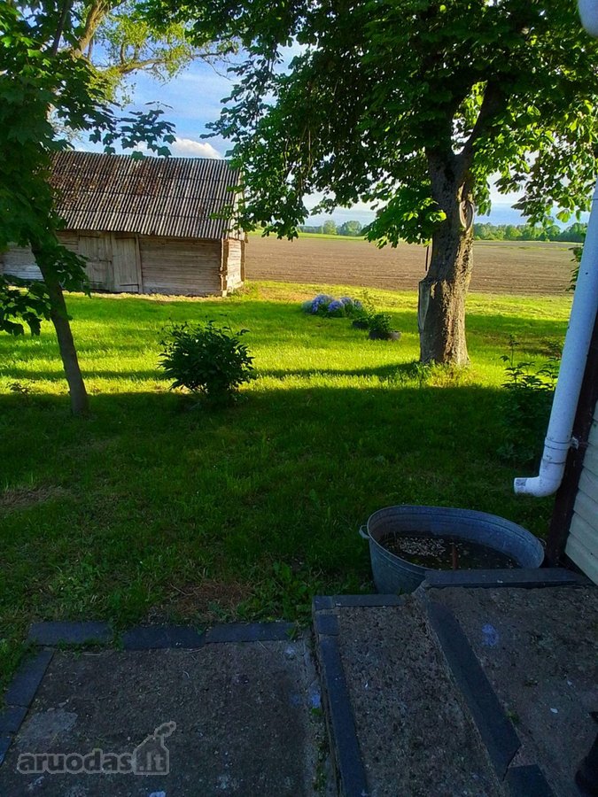 Parduodama jauki sodyba ramioje vietoje, - nuotraukos Nr. 16