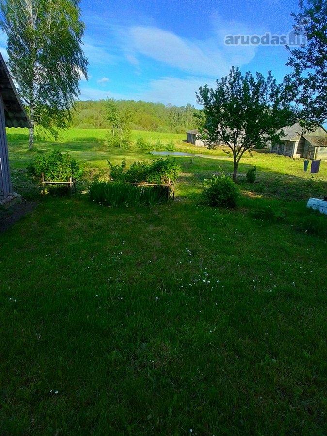 Parduodama jauki sodyba ramioje vietoje, - nuotraukos Nr. 17