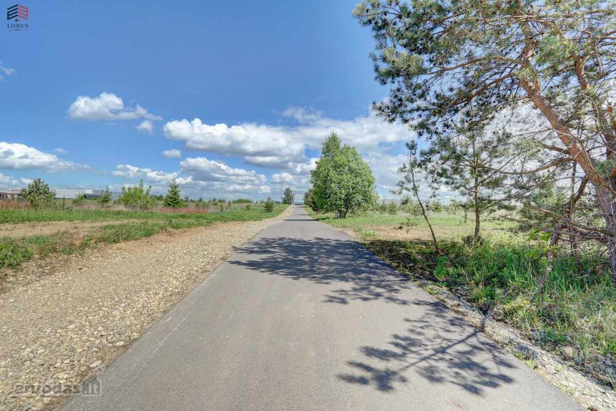 Parduodamas vieno aukšto, 151.5 kv. m. - nuotraukos Nr. 31