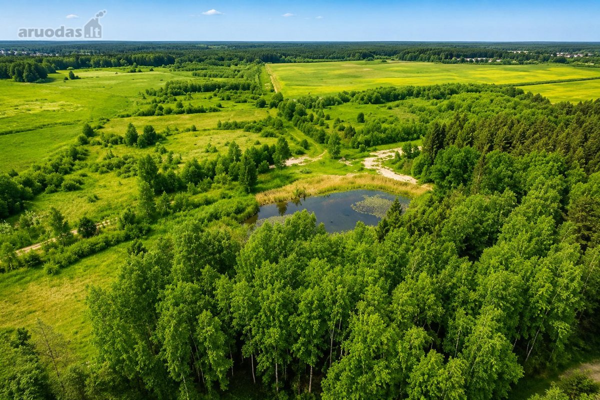 Parduodamas 13,91 a namų valdos sklypas - nuotraukos Nr. 6