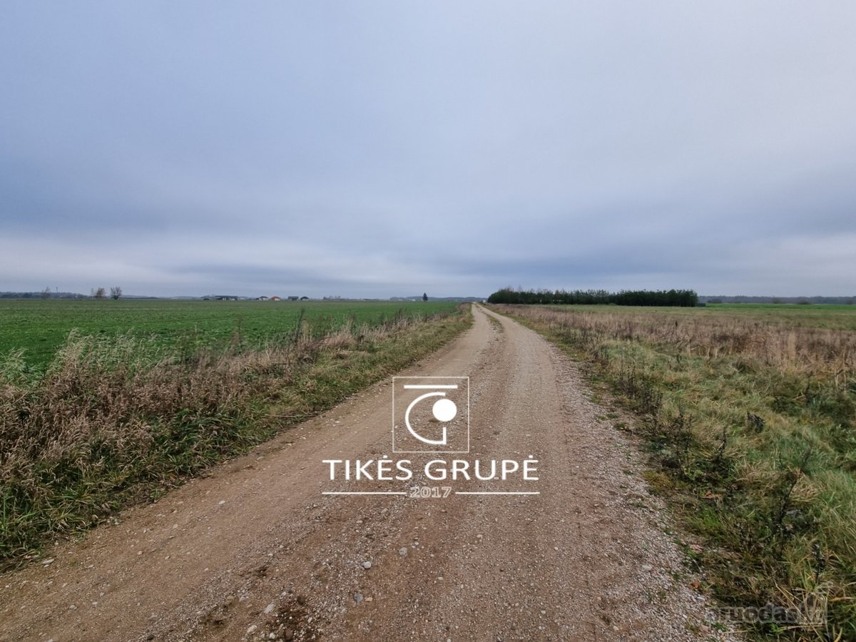 Parduodamas Žū sklypas Leliuose, 3,63 ha - nuotraukos Nr. 2