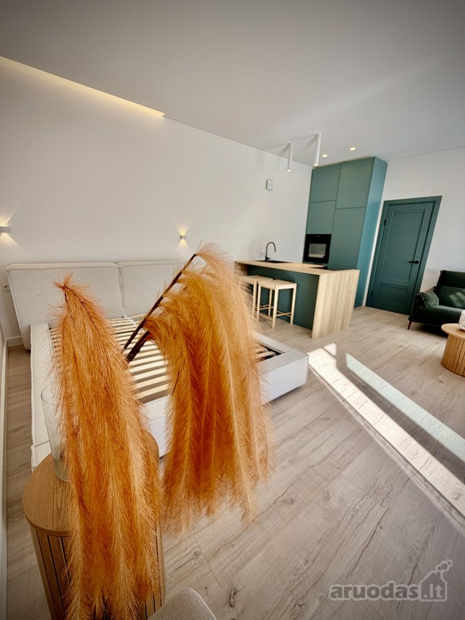 # Išskirtiniai Apartamentai Istoriniame - nuotraukos Nr. 2