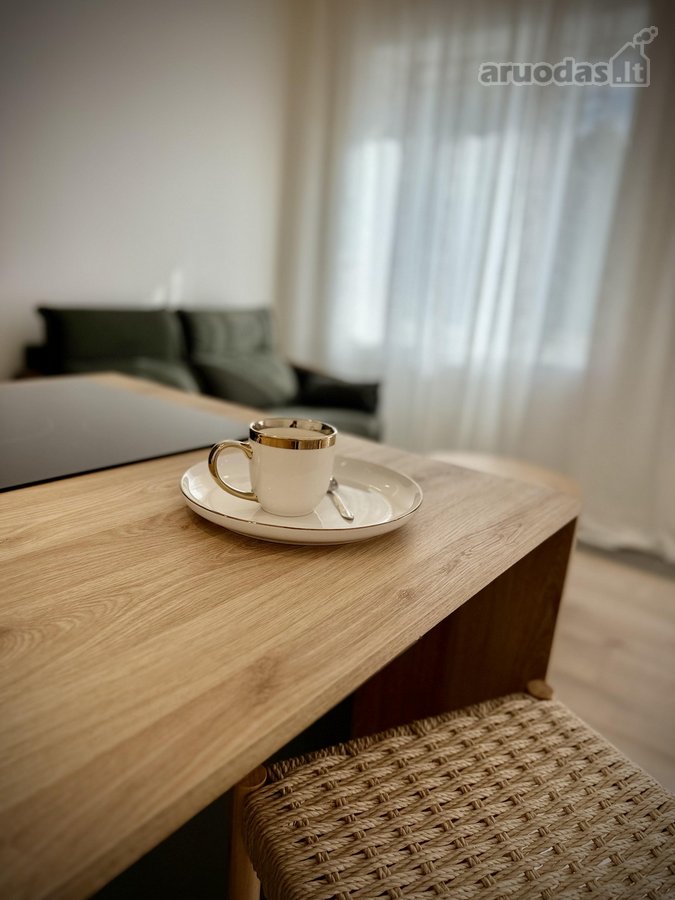 # Išskirtiniai Apartamentai Istoriniame - nuotraukos Nr. 11