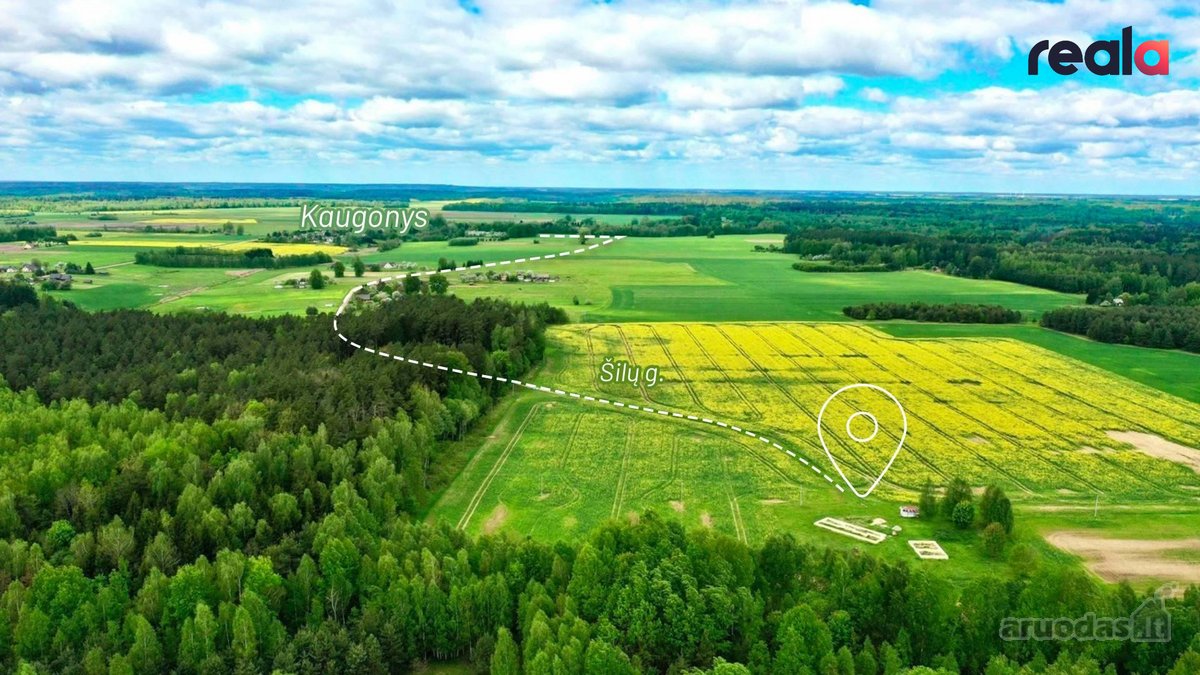 Parduodamas Erdvus 27 Arų Sklypas Šalia Miško - nuotraukos Nr. 10