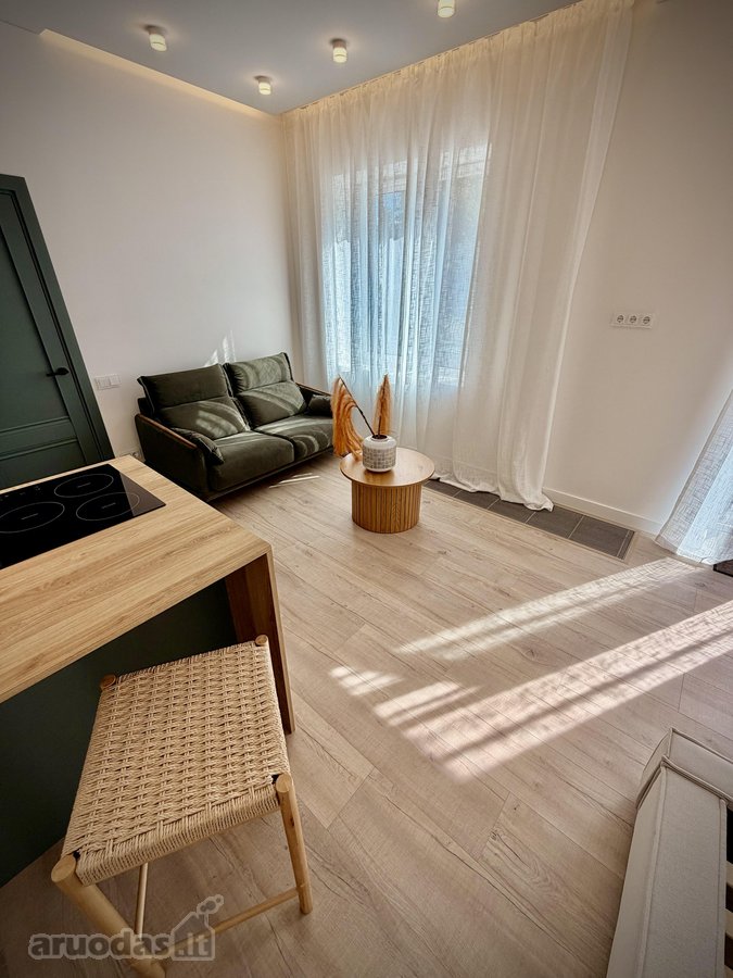 Išskirtiniai Apartamentai Istoriniame Pastate - nuotraukos Nr. 7