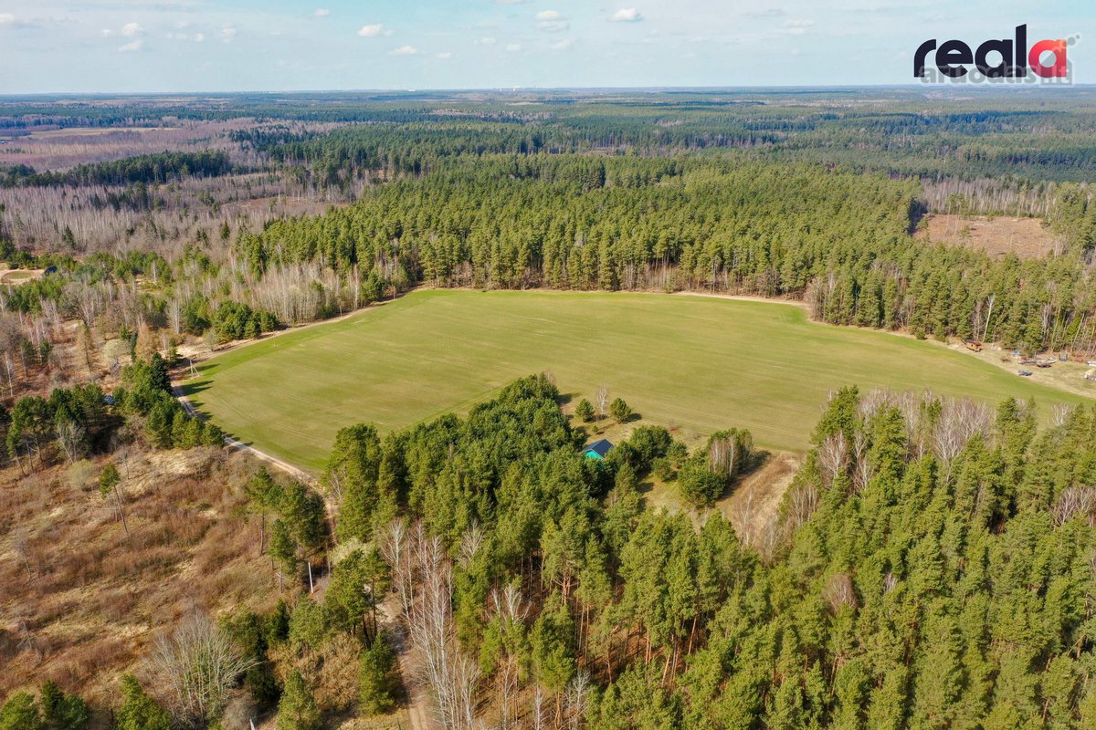 Parduodama Ne Tik Sodyba, Bet Ir Vizija – - nuotraukos Nr. 15