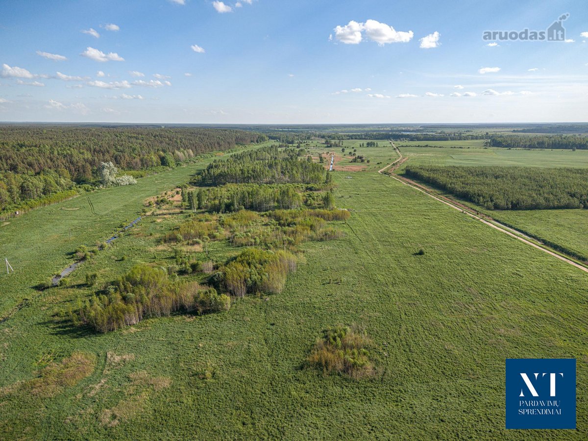 Parduodamas 9.54 ha žemės ūkio paskirties - nuotraukos Nr. 6
