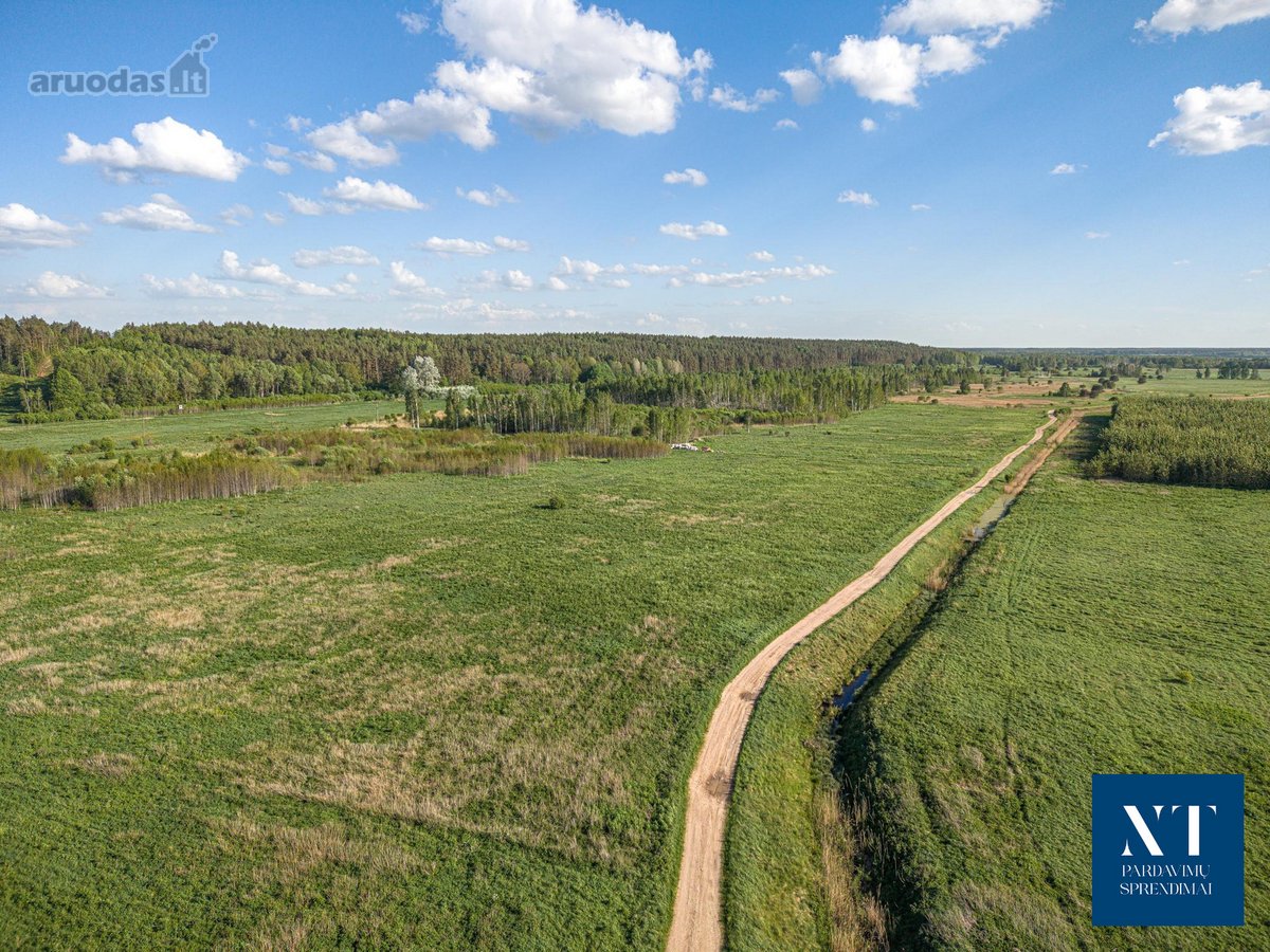 Parduodamas 9.54 ha žemės ūkio paskirties - nuotraukos Nr. 8