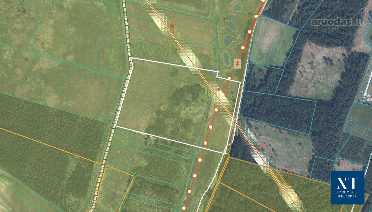 Parduodamas 9.54 ha žemės ūkio paskirties - nuotraukos Nr. 12