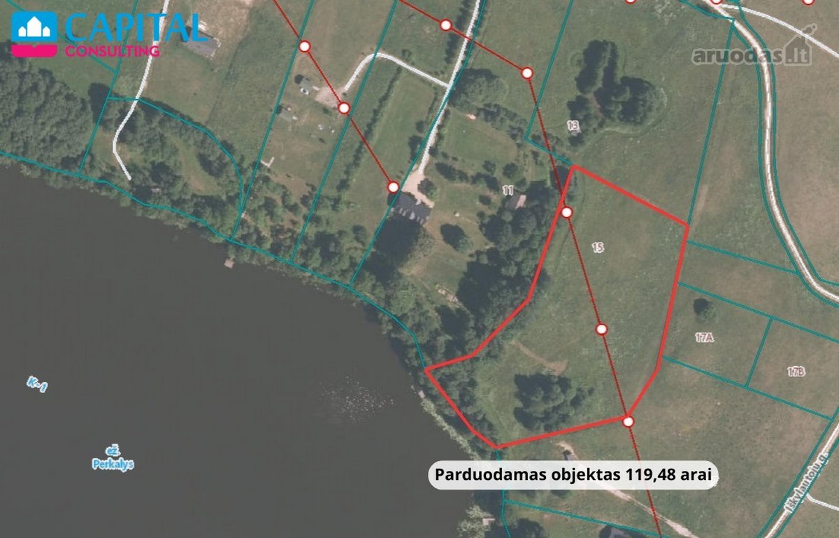 Vienoje gražiausių Lietuvos vietų šalia ežero - nuotraukos Nr. 8