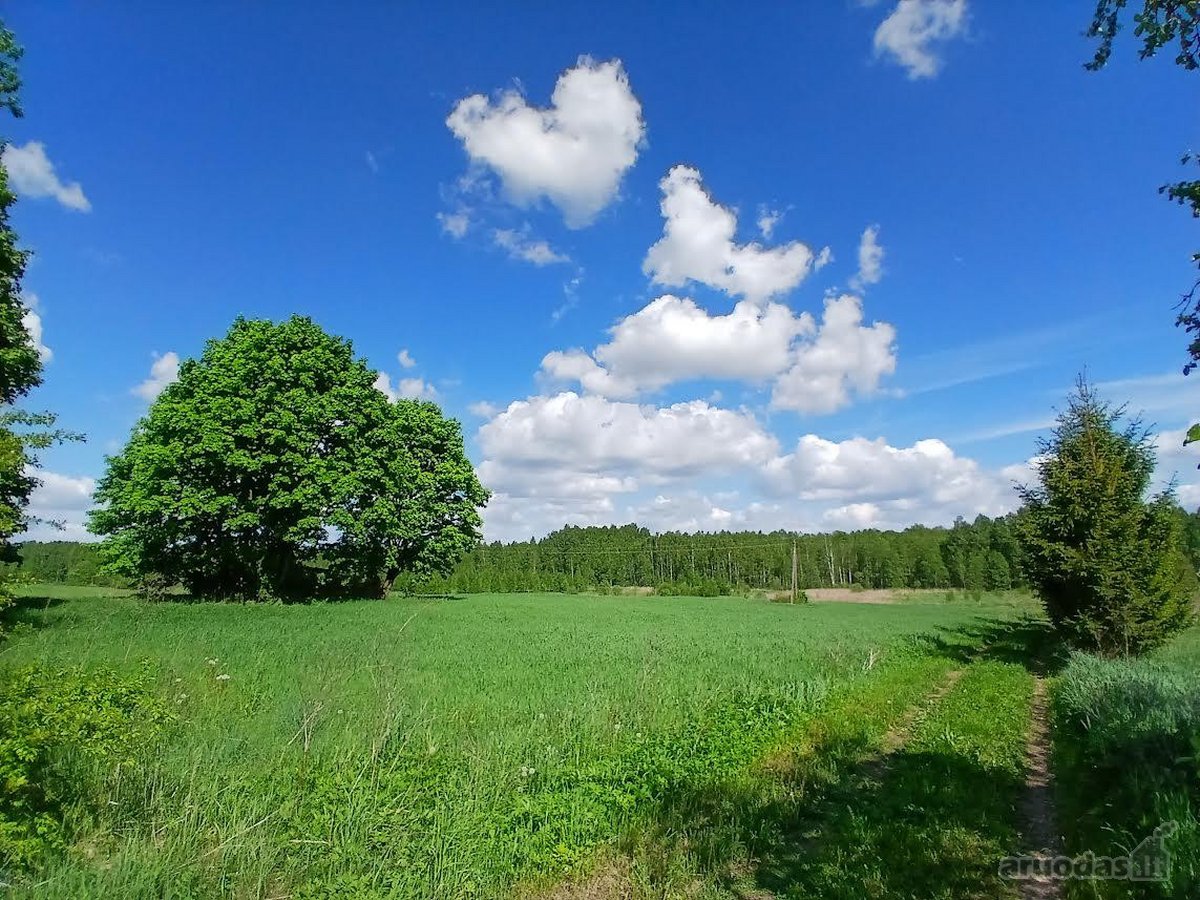 Erdvi Namų Valda Su Infrastruktūra