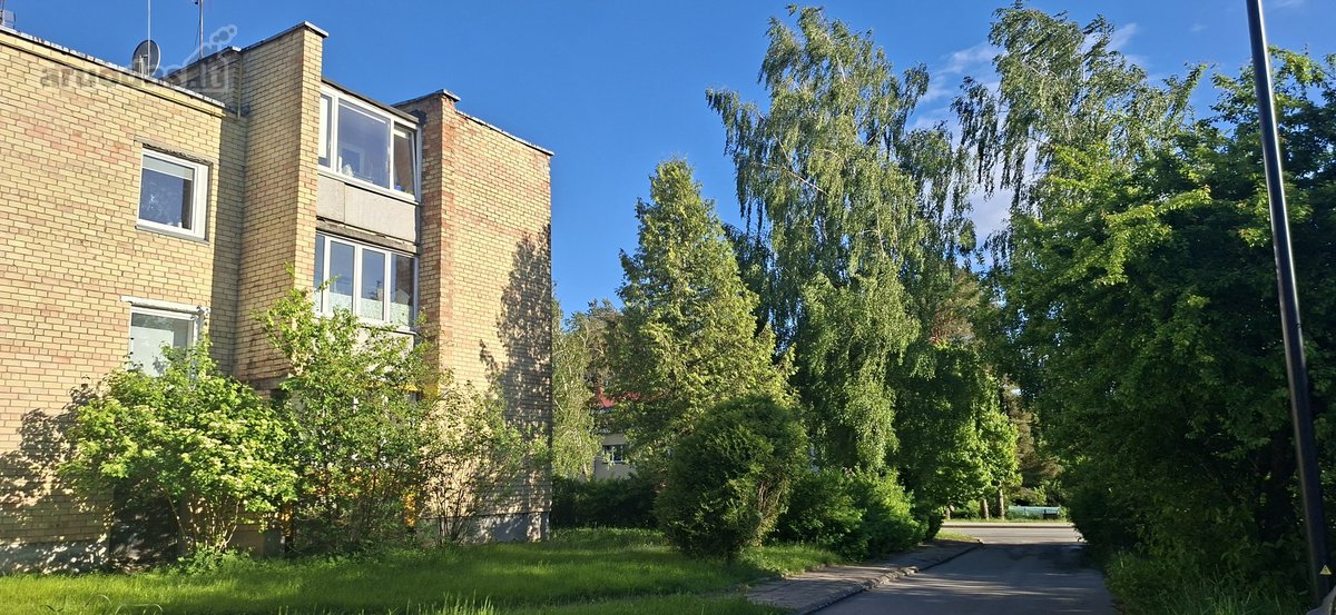 Bukčių g., pušyno apsuptyje, šalia Neries – - nuotraukos Nr. 2