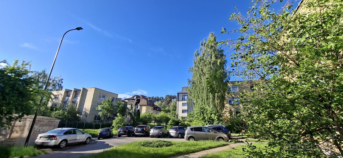 Bukčių g., pušyno apsuptyje, šalia Neries – - nuotraukos Nr. 22