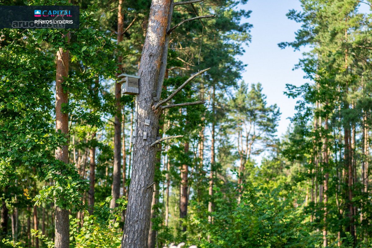 Jau susiformavusioje naujos statybos namų - nuotraukos Nr. 21