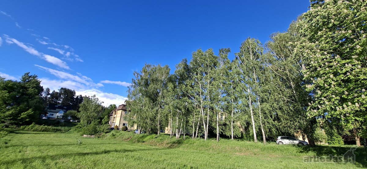 Bukčių g., pušyno apsuptyje, šalia Neries – - nuotraukos Nr. 27