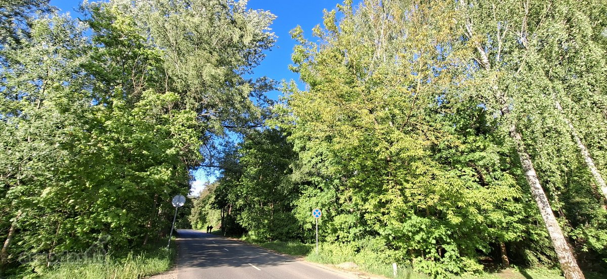 Bukčių g., pušyno apsuptyje, šalia Neries – - nuotraukos Nr. 36