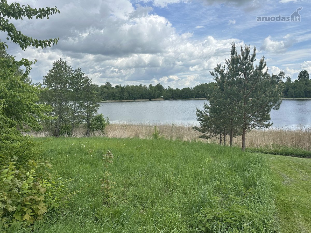 Parduodamas 3,1 ha žemės ūkio paskirties - nuotraukos Nr. 5