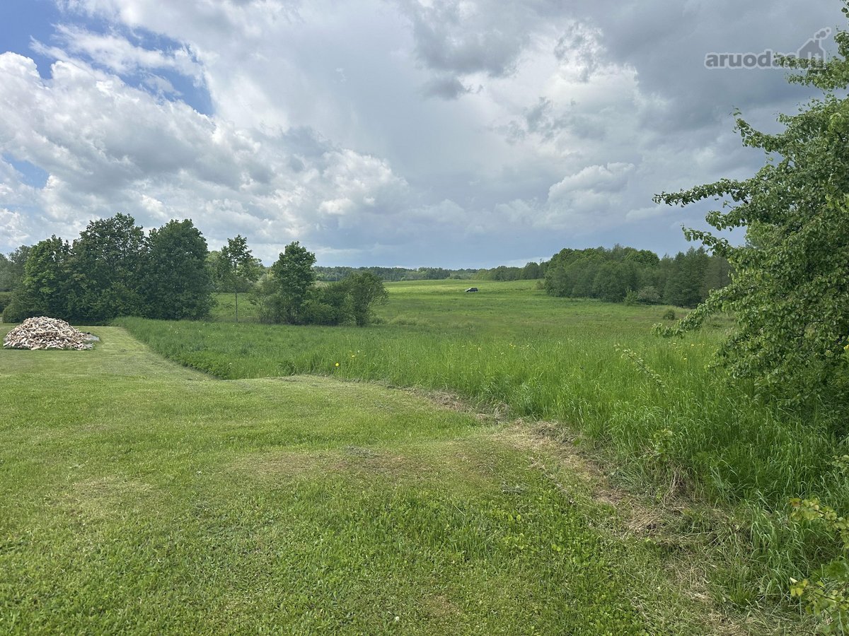 Parduodamas 3,1 ha žemės ūkio paskirties - nuotraukos Nr. 6