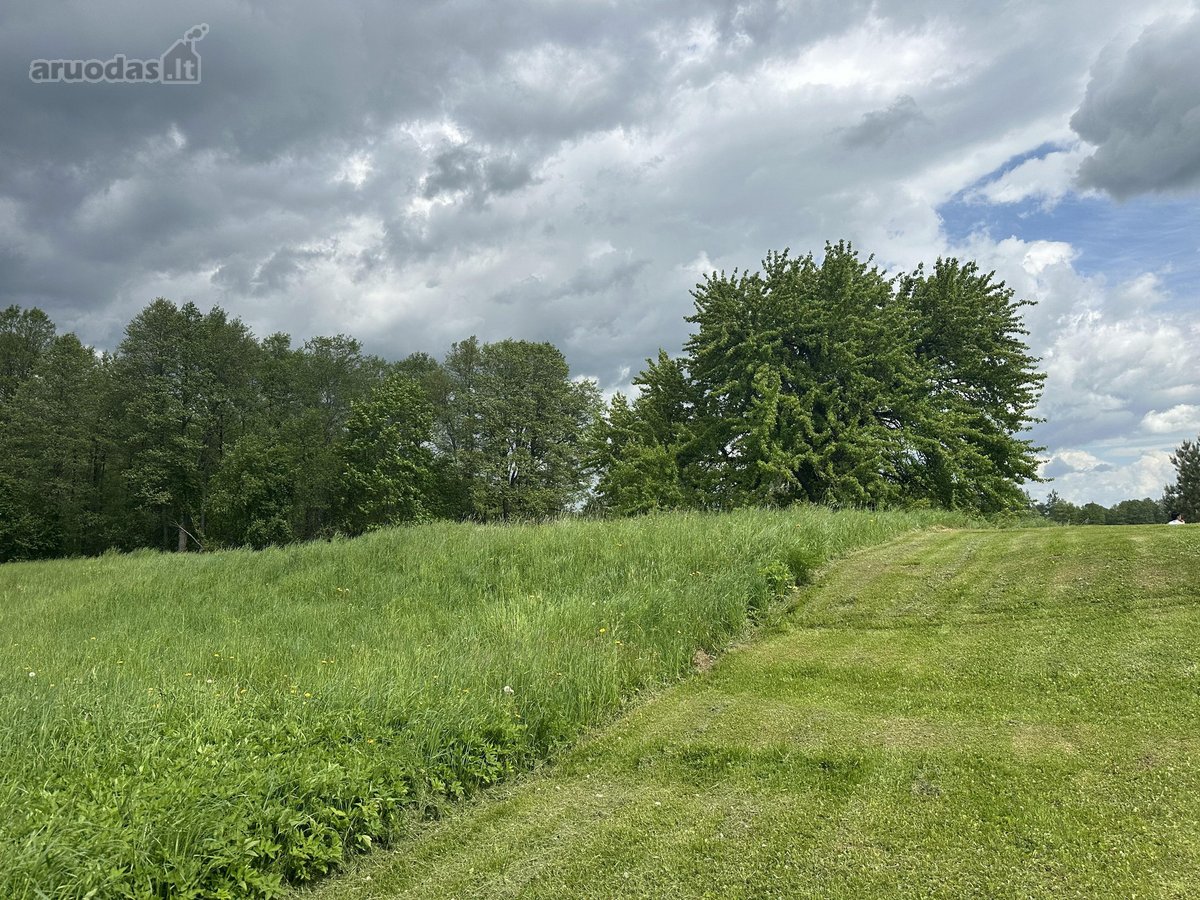 Parduodamas 3,1 ha žemės ūkio paskirties - nuotraukos Nr. 7