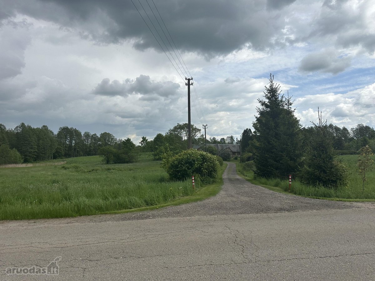 Parduodamas 3,1 ha žemės ūkio paskirties - nuotraukos Nr. 9