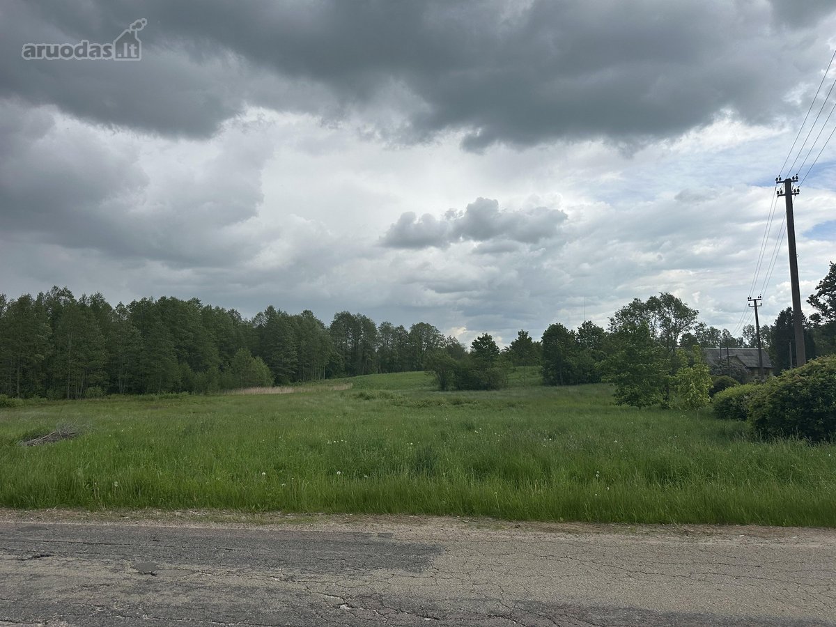 Parduodamas 3,1 ha žemės ūkio paskirties - nuotraukos Nr. 10