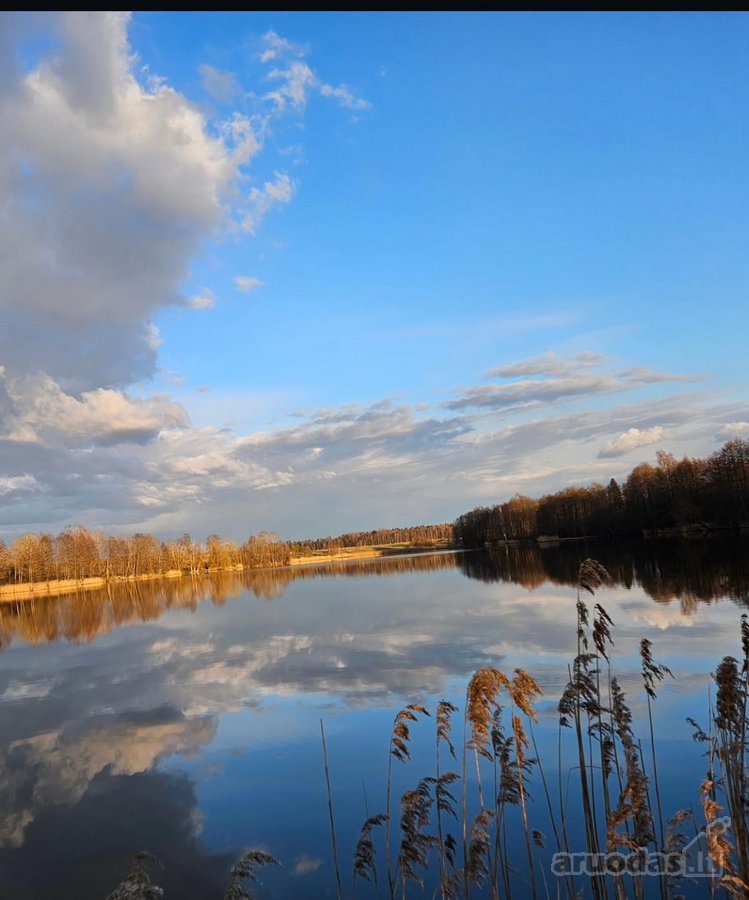 + Žemės sklypas ant kampo dviejų kelių (ne - nuotraukos Nr. 6