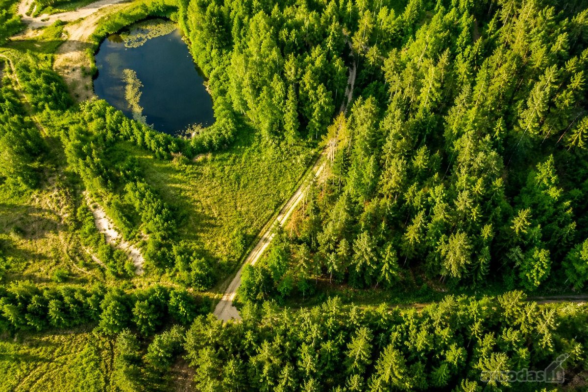 Parduodamas 13,91 a namų valdos sklypas - nuotraukos Nr. 8