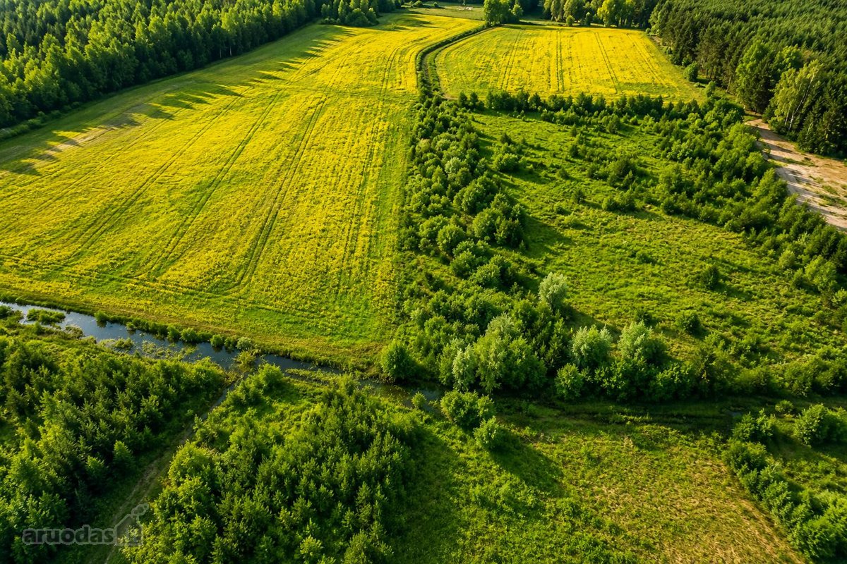 Parduodamas 13,91 a namų valdos sklypas - nuotraukos Nr. 9