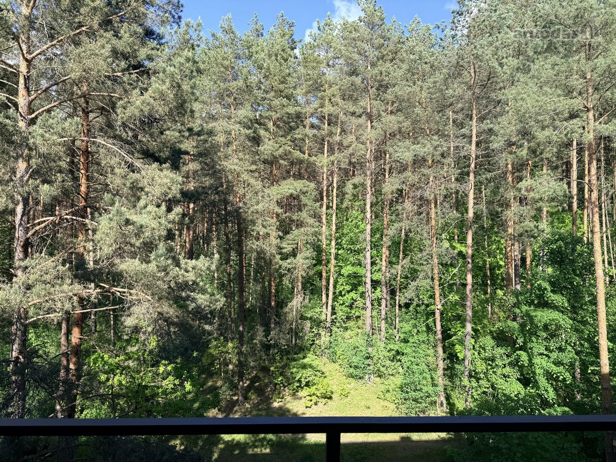 Parduodamas jaukus ir erdvus butas - nuotraukos Nr. 17
