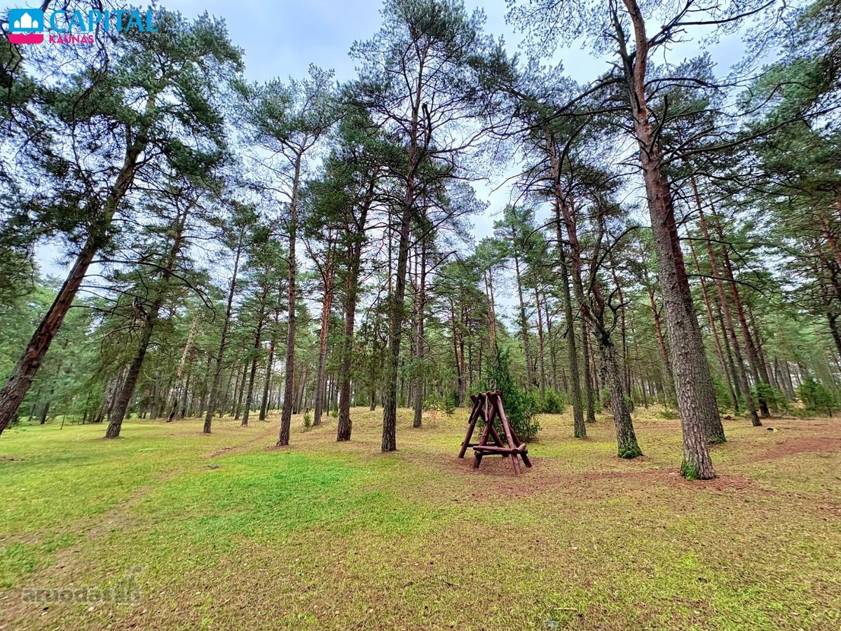 Parduodamas Butas Neravų G., 1 Kambario, 28 - nuotraukos Nr. 3
