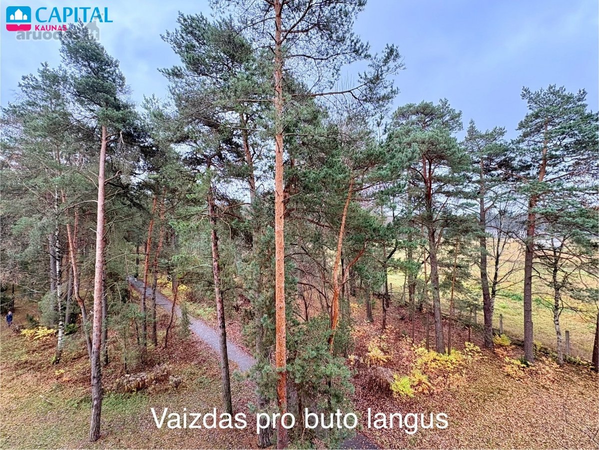 Parduodamas Butas Neravų G., 1 Kambario, 28 - nuotraukos Nr. 4