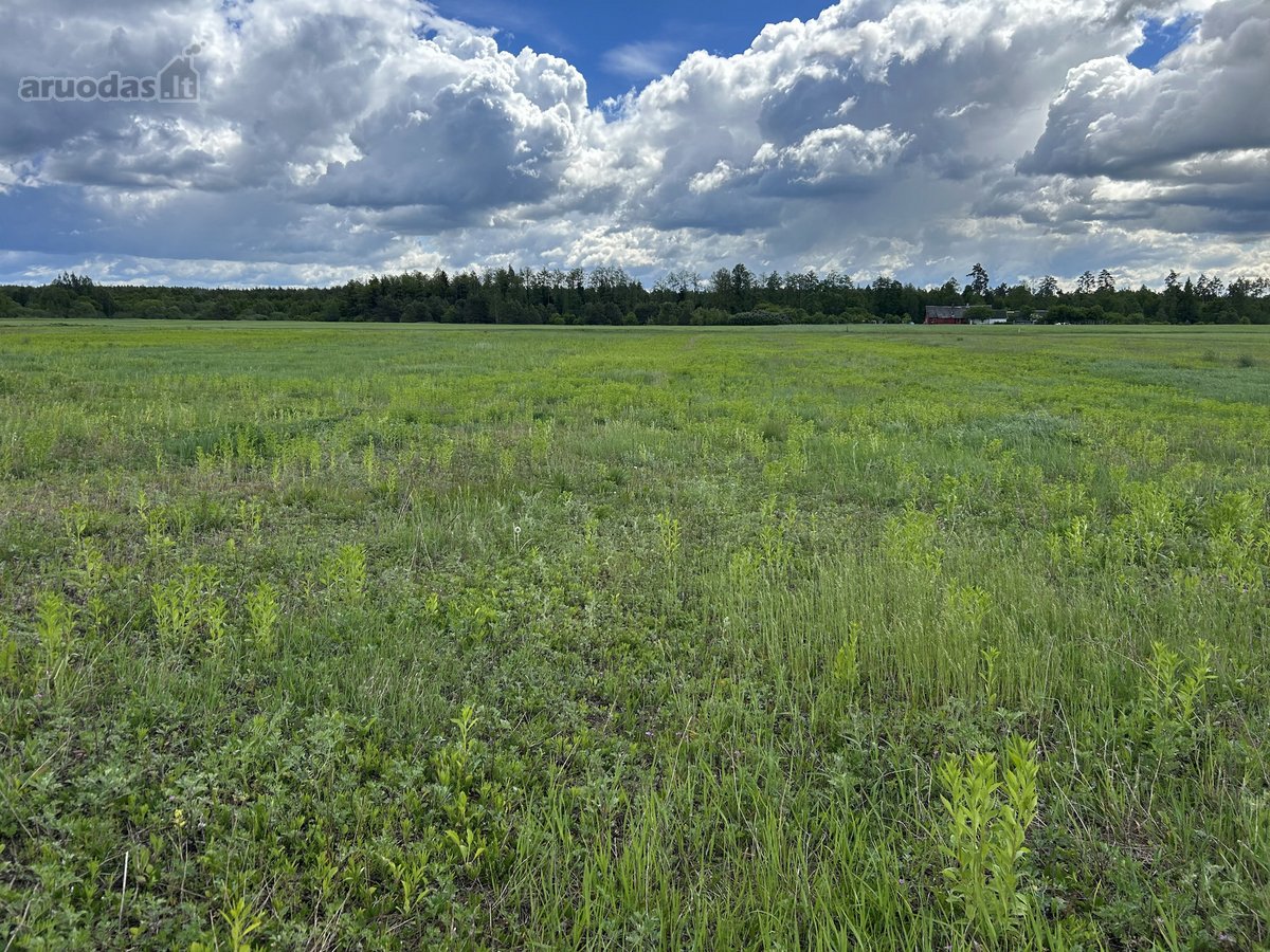 Parduodamas 2,6400 ha žemės ūkio paskirties - nuotraukos Nr. 3