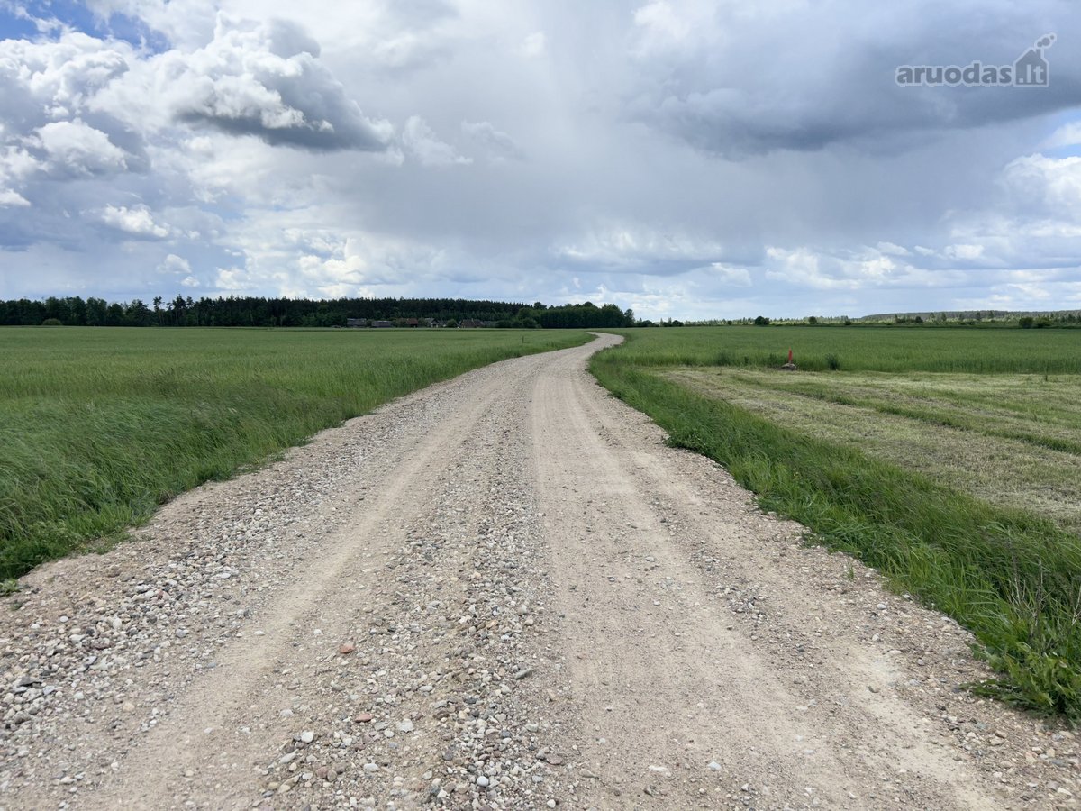 Parduodamas 2,6400 ha žemės ūkio paskirties - nuotraukos Nr. 4