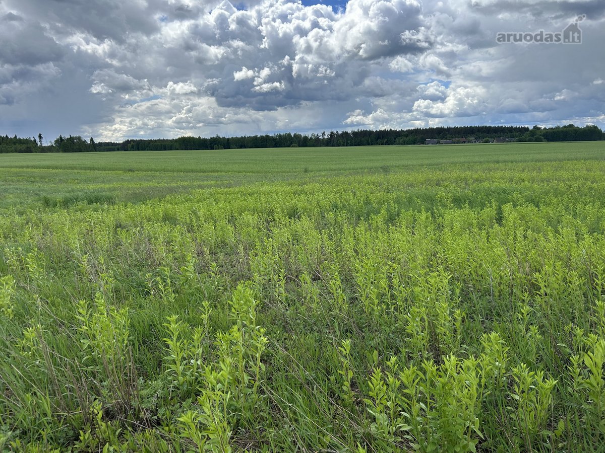 Parduodamas 2,6400 ha žemės ūkio paskirties
