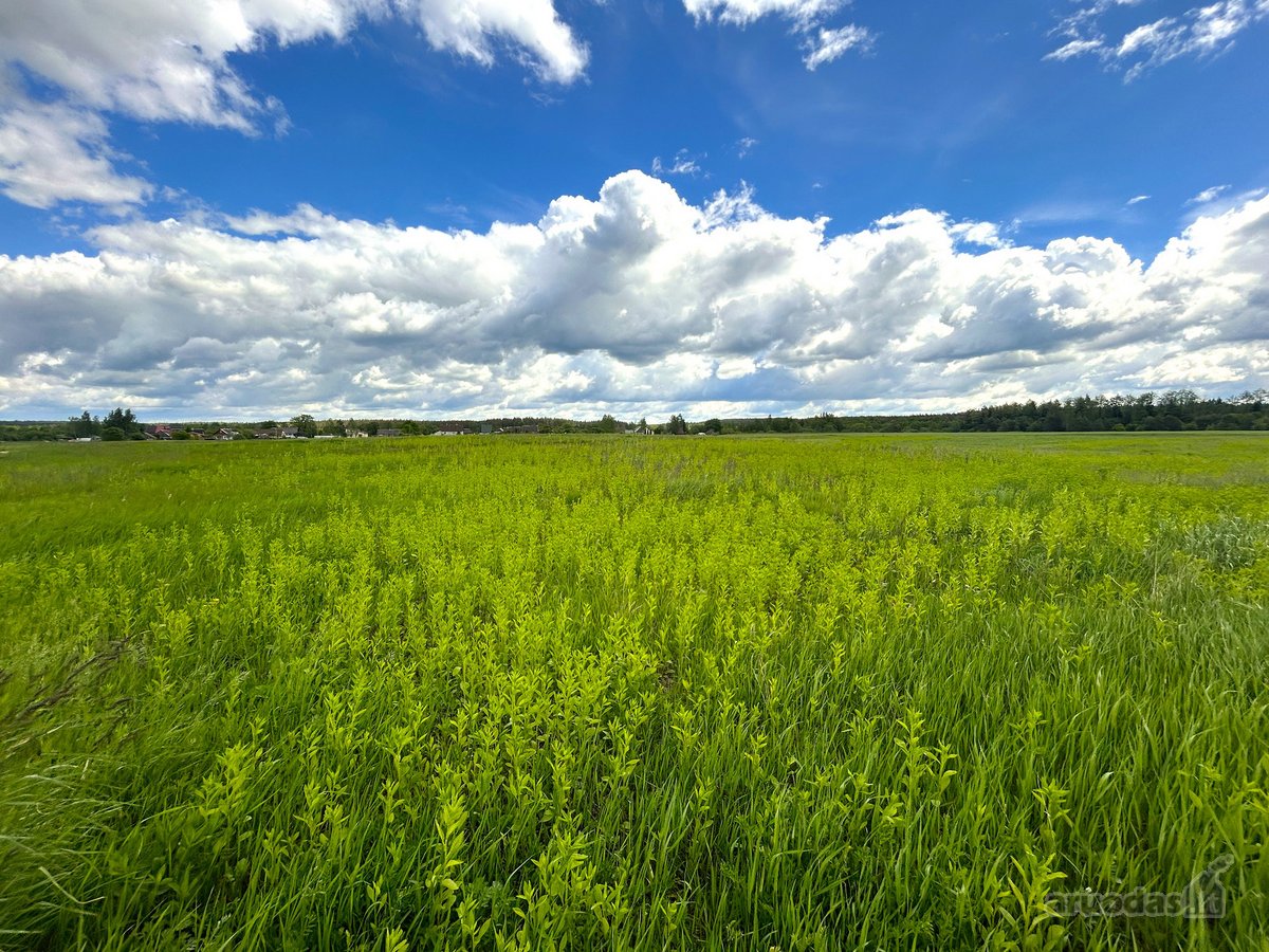 Parduodamas 2,6400 ha žemės ūkio paskirties - nuotraukos Nr. 7