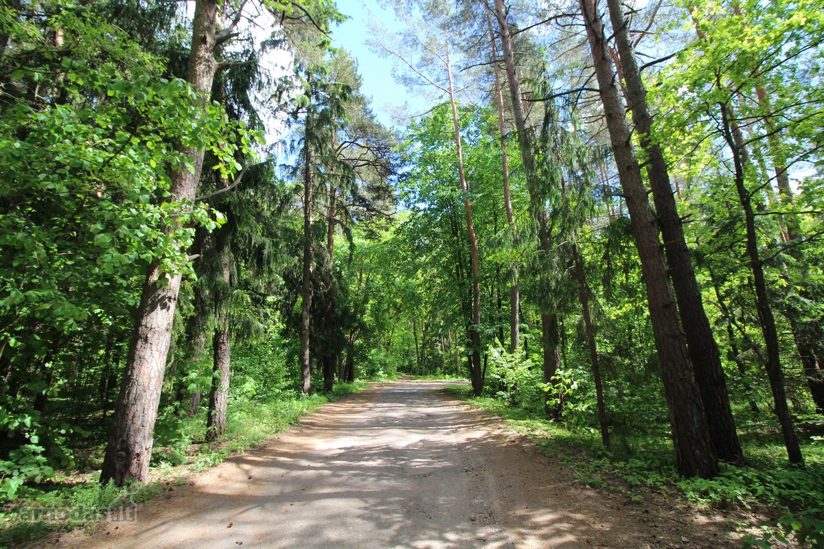 Parduodamas mūrinis namas SB "Drąseikiai".
