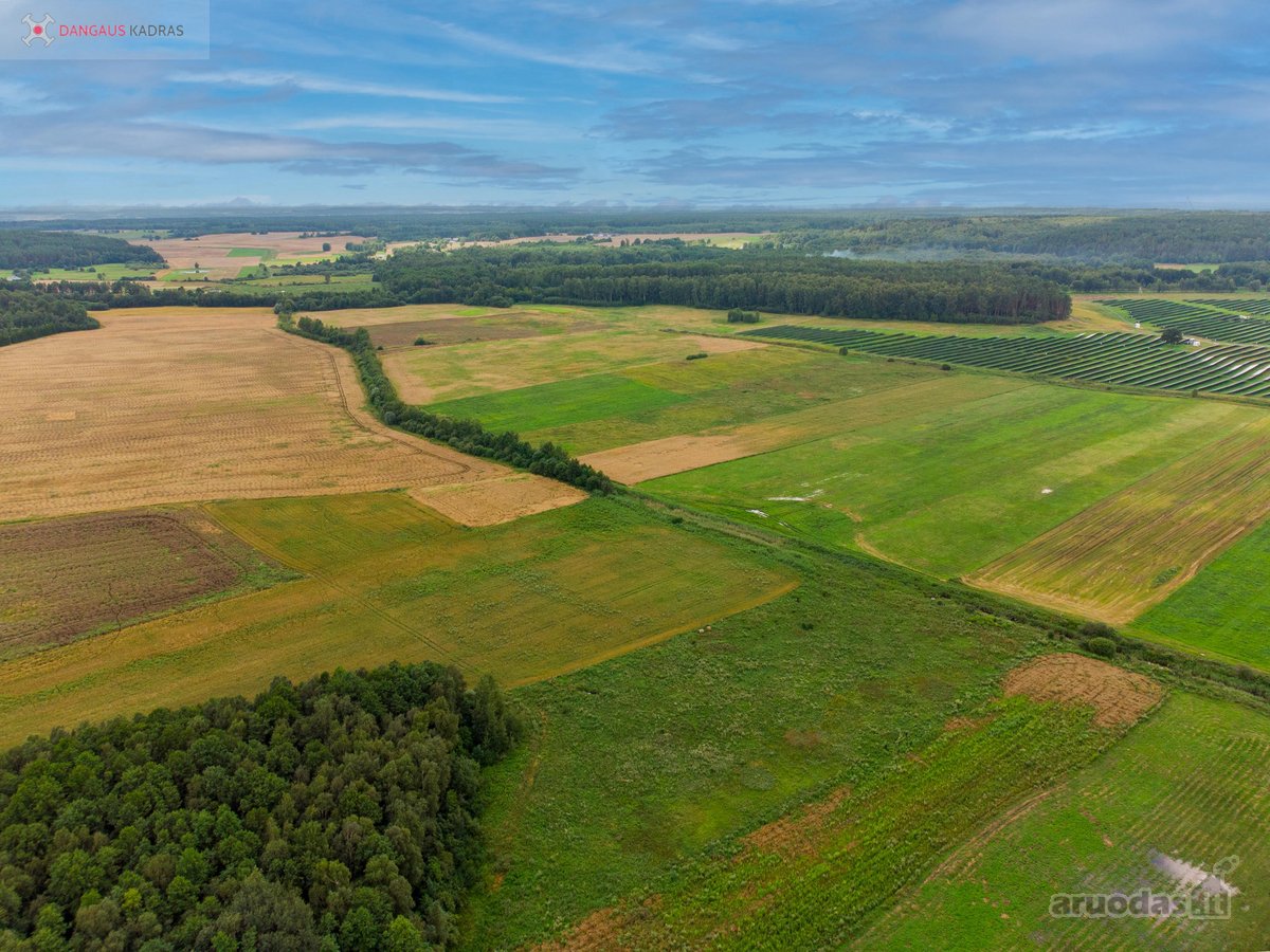 Parduodamas erdvus 1,22 ha sklypas Naujažerio - nuotraukos Nr. 5
