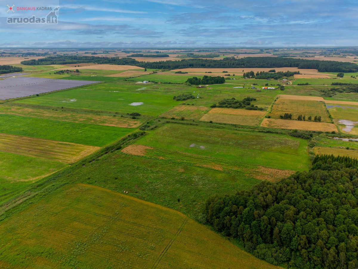Parduodamas erdvus 1,22 ha sklypas Naujažerio - nuotraukos Nr. 13