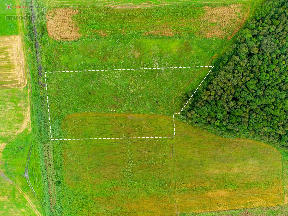 Parduodamas erdvus 1,22 ha sklypas Naujažerio - nuotraukos Nr. 14