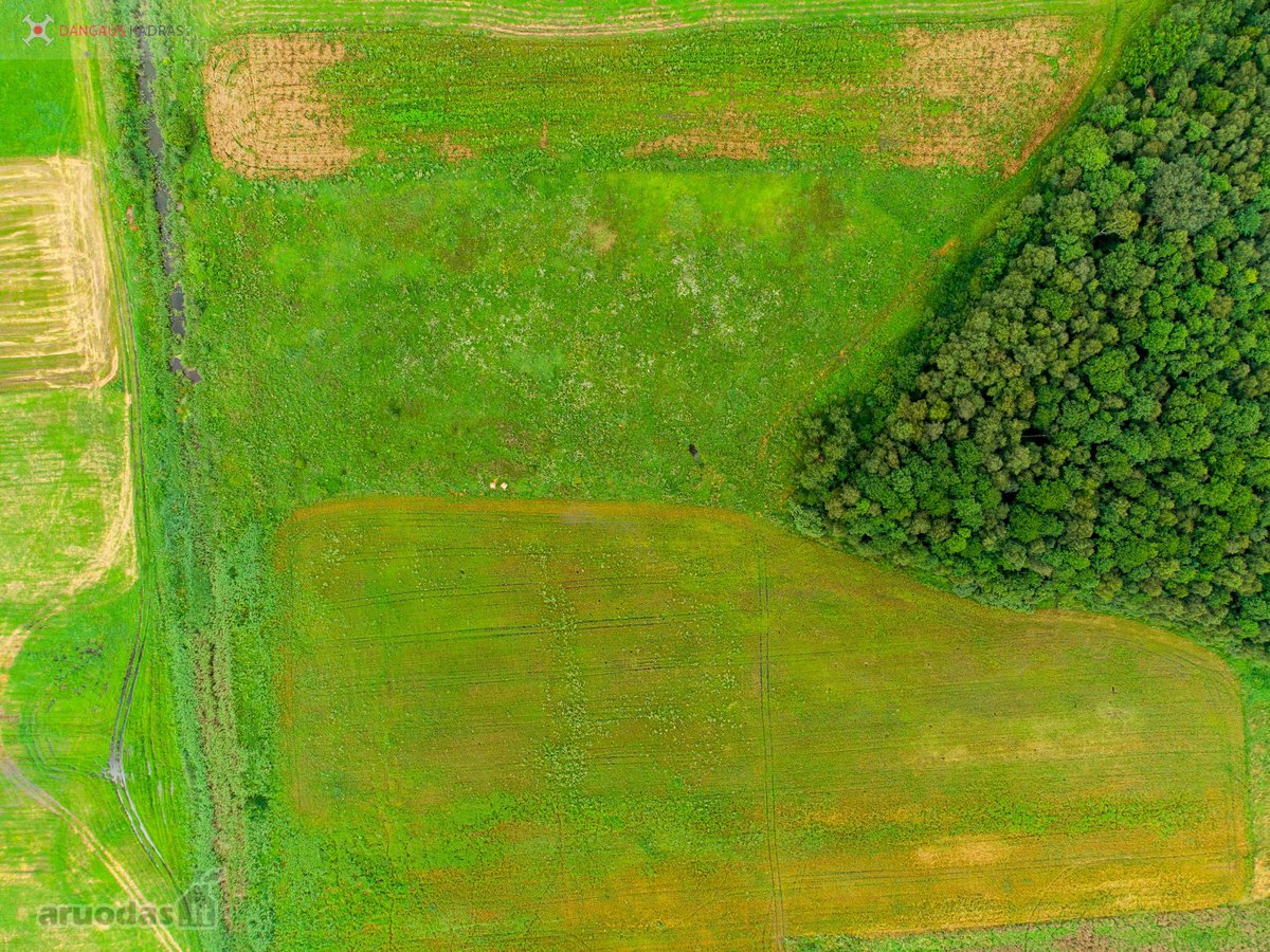 Parduodamas erdvus 1,22 ha sklypas Naujažerio - nuotraukos Nr. 15