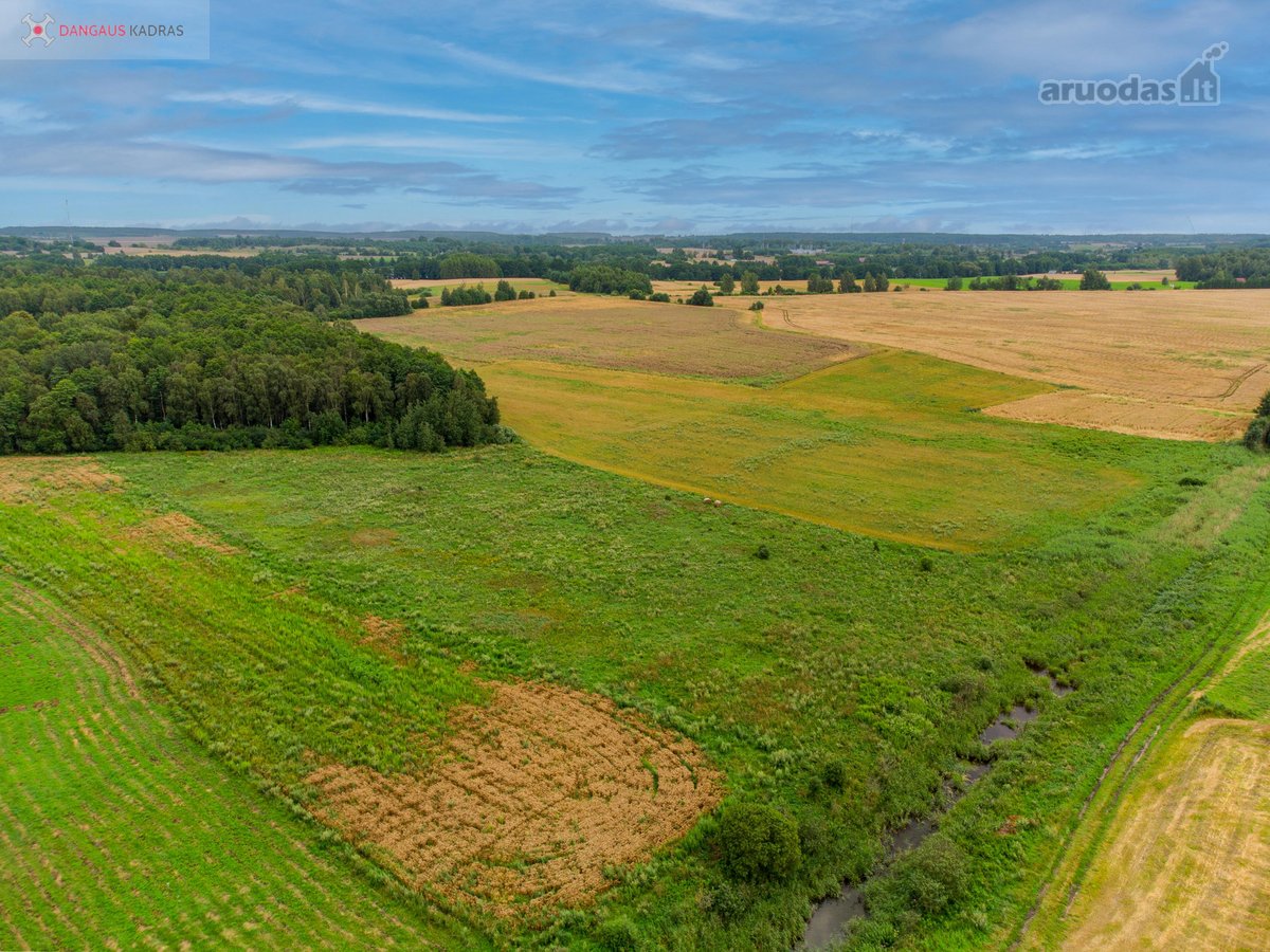 Parduodamas erdvus 1,22 ha sklypas Naujažerio - nuotraukos Nr. 16