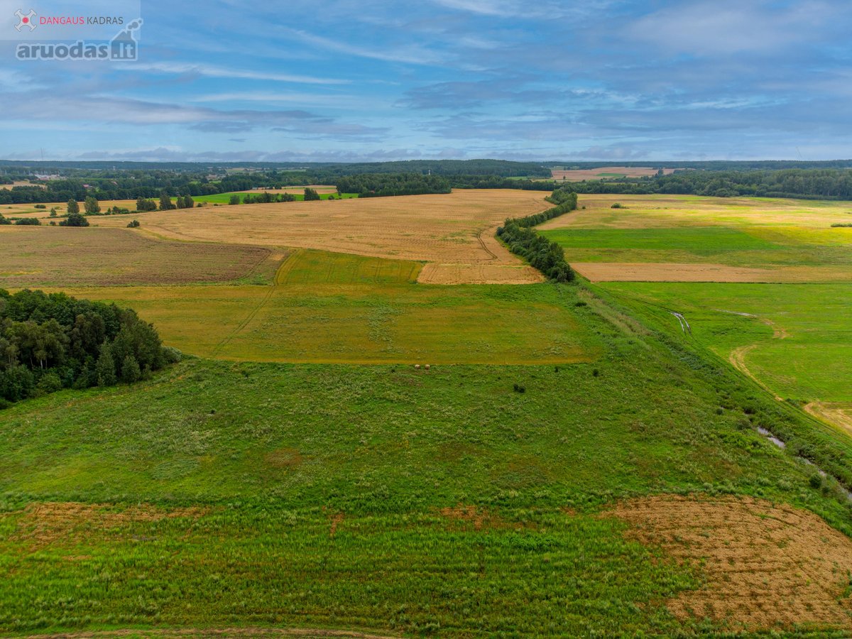 Parduodamas erdvus 1,22 ha sklypas Naujažerio - nuotraukos Nr. 19