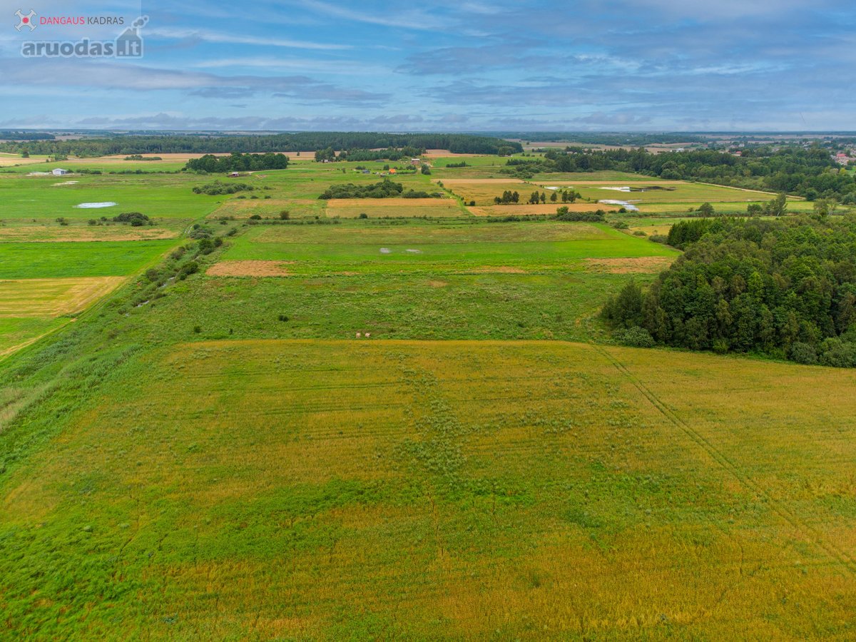 Parduodamas erdvus 1,22 ha sklypas Naujažerio - nuotraukos Nr. 23